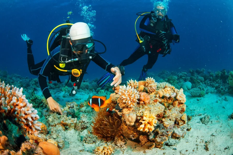 Scuba Diving Experience with Lunch